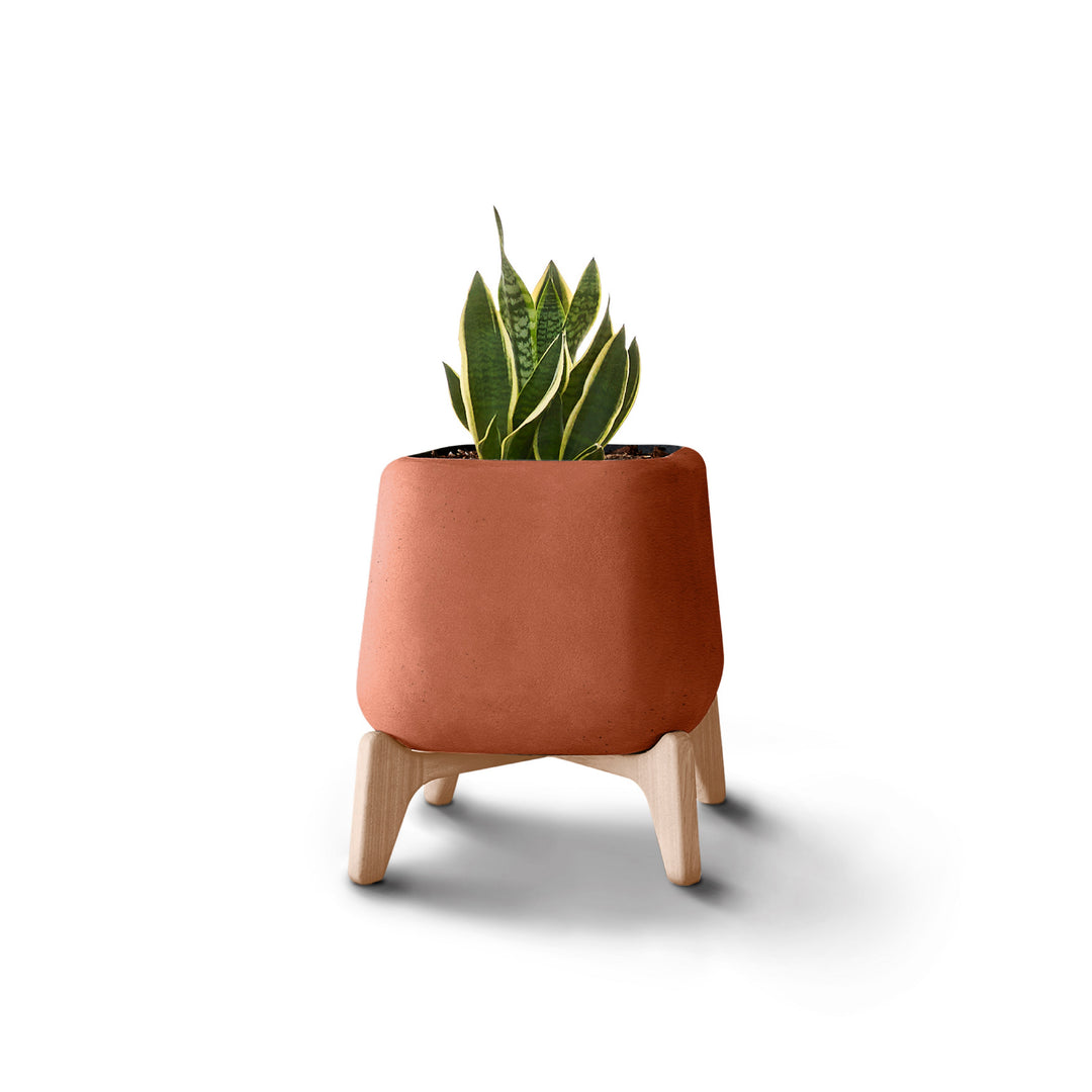 Terra Planter – Square Outdoor Planters Indigenus Terracota Natural