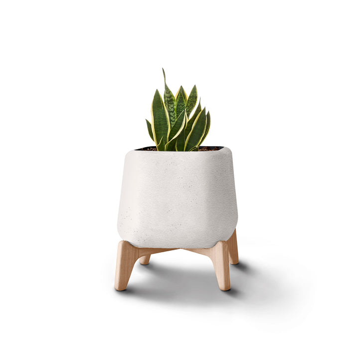 Terra Planter – Square Outdoor Planters Indigenus