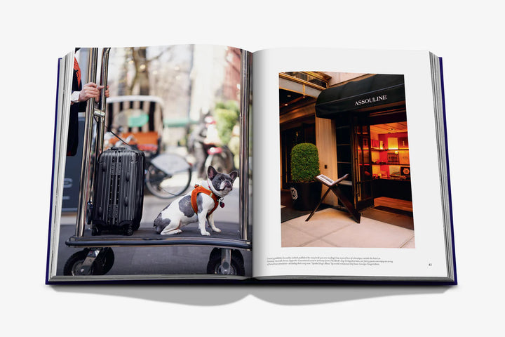 The Mark Book Print Books Assouline