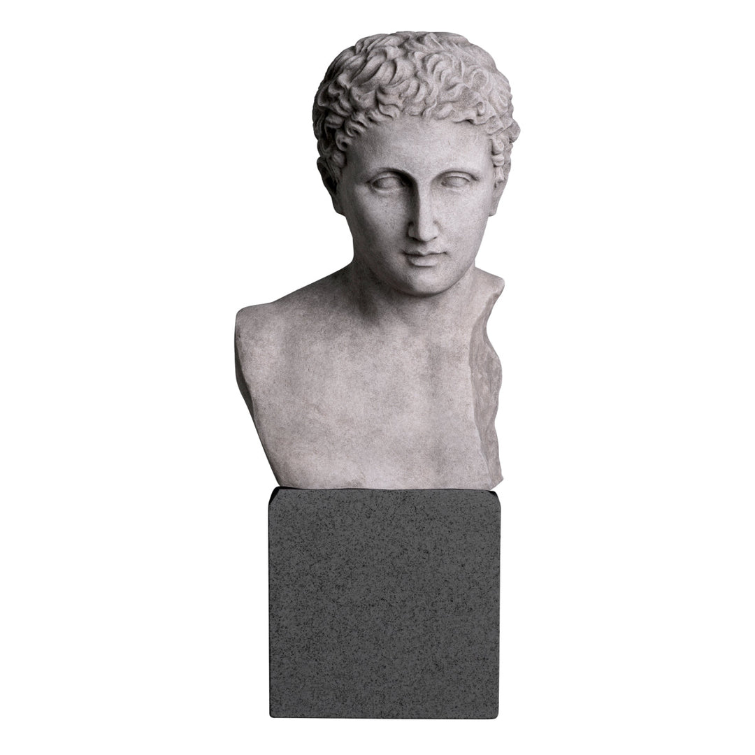 Bust Roman Imperial The Met x Eichholtz Eichholtz
