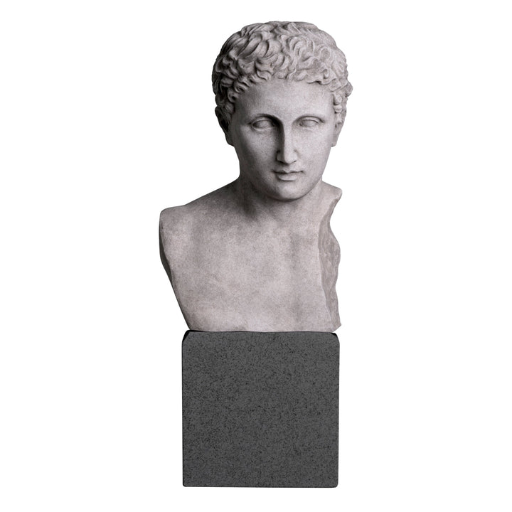 Bust Roman Imperial The Met x Eichholtz Eichholtz