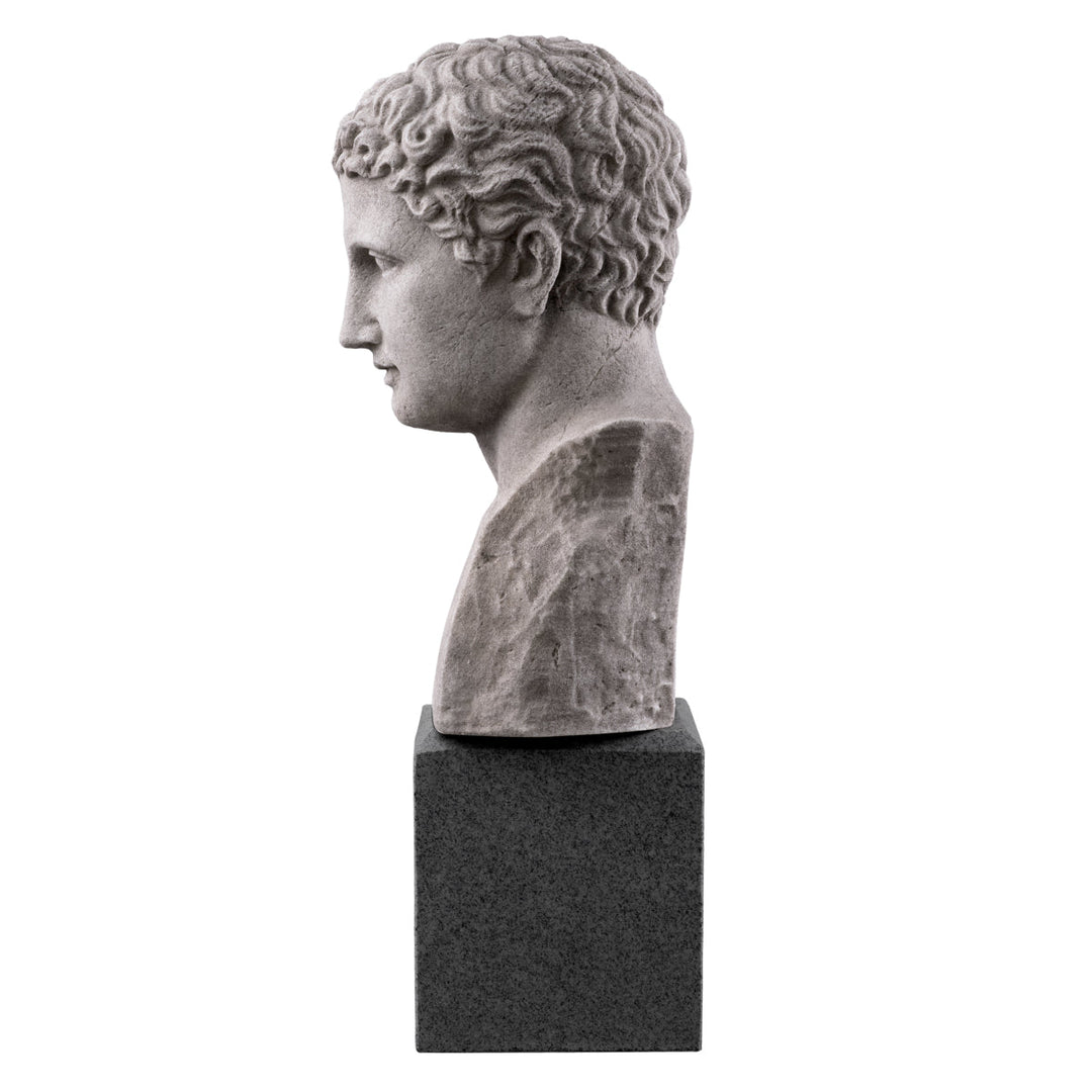 Bust Roman Imperial The Met x Eichholtz Eichholtz