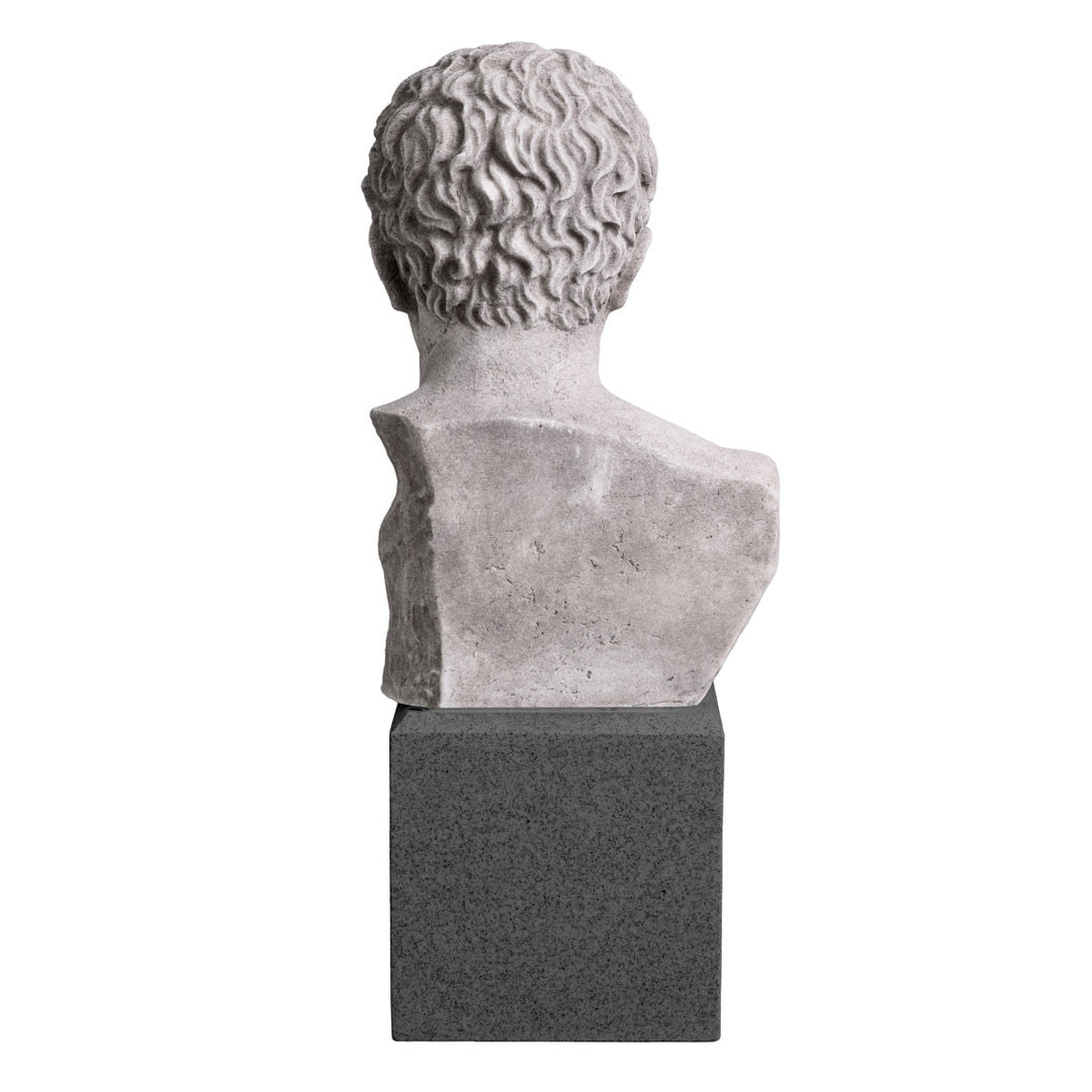 Bust Roman Imperial The Met x Eichholtz Eichholtz