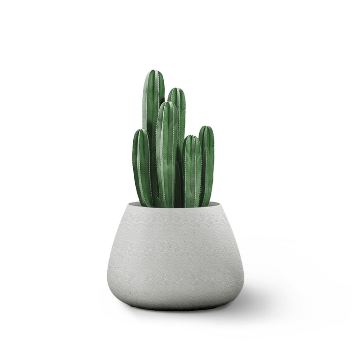 Tuber Planter – Small Outdoor Planters Indigenus Grey