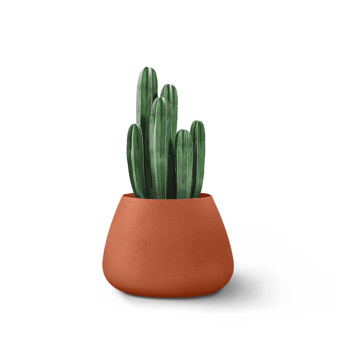 Tuber Planter – Small Outdoor Planters Indigenus Terracota