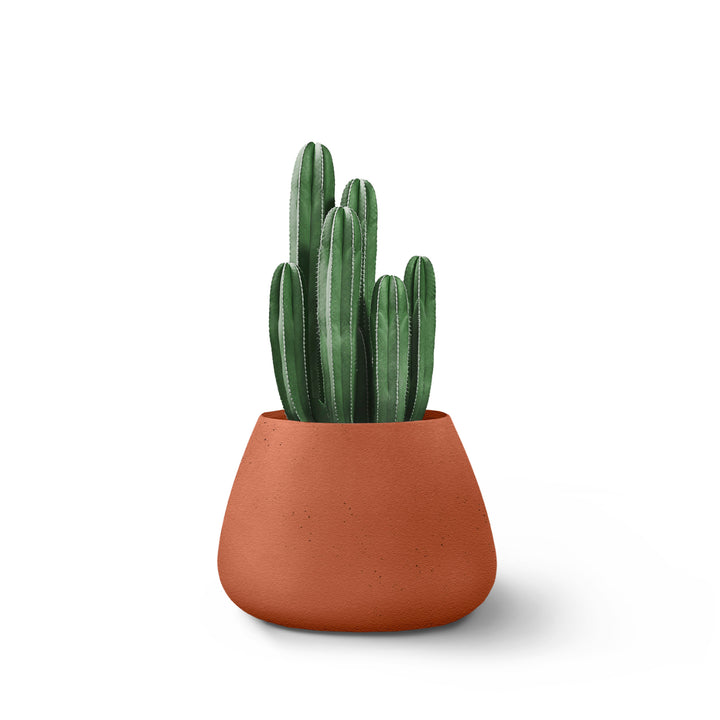 Tuber Planter – Small Outdoor Planters Indigenus Terracota
