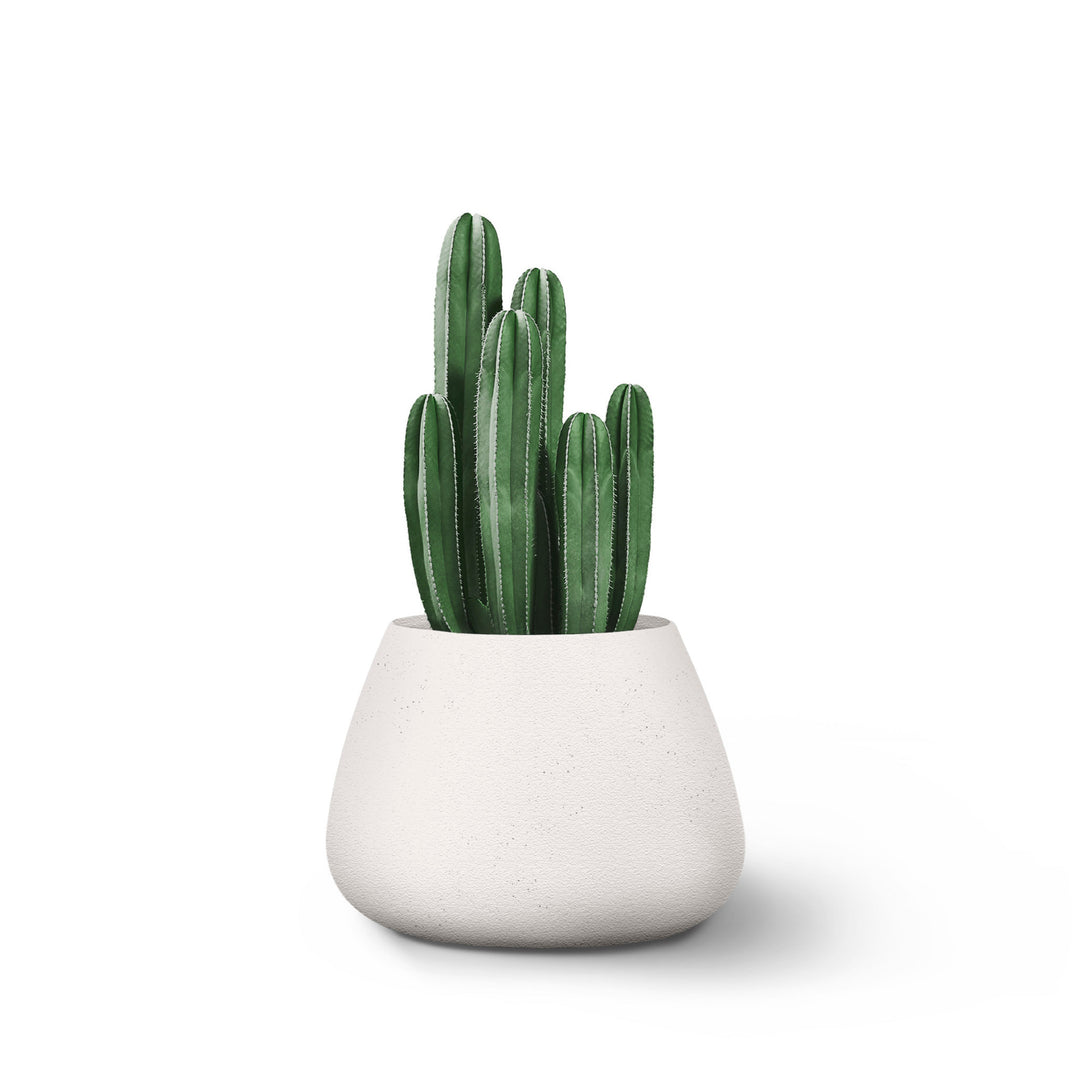 Tuber Planter – Small Outdoor Planters Indigenus White