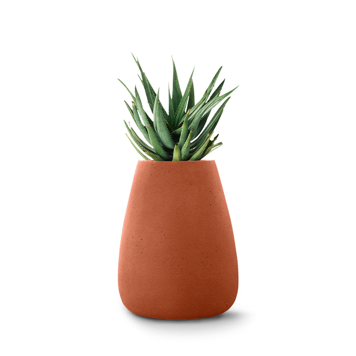 Tuber Planter – Medium Outdoor Planters Indigenus Terracota