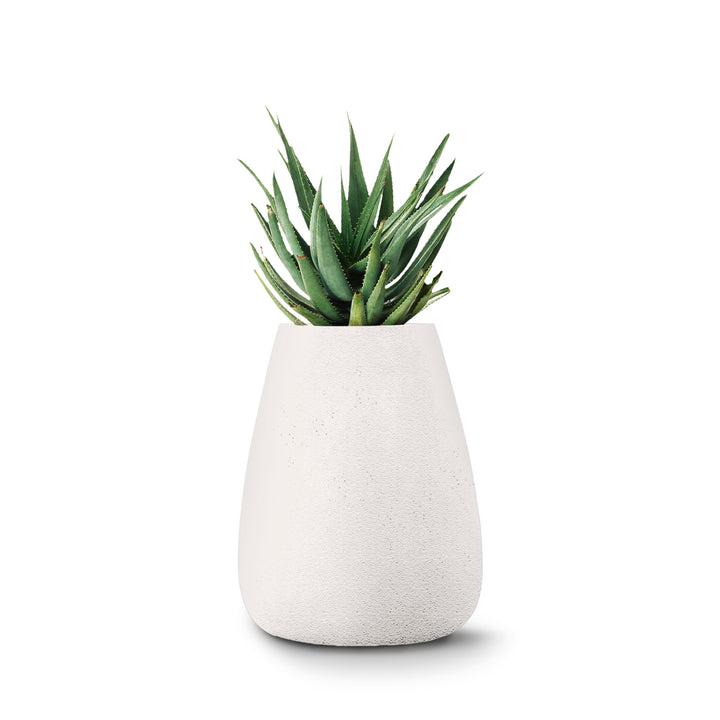 Tuber Planter – Medium Outdoor Planters Indigenus White
