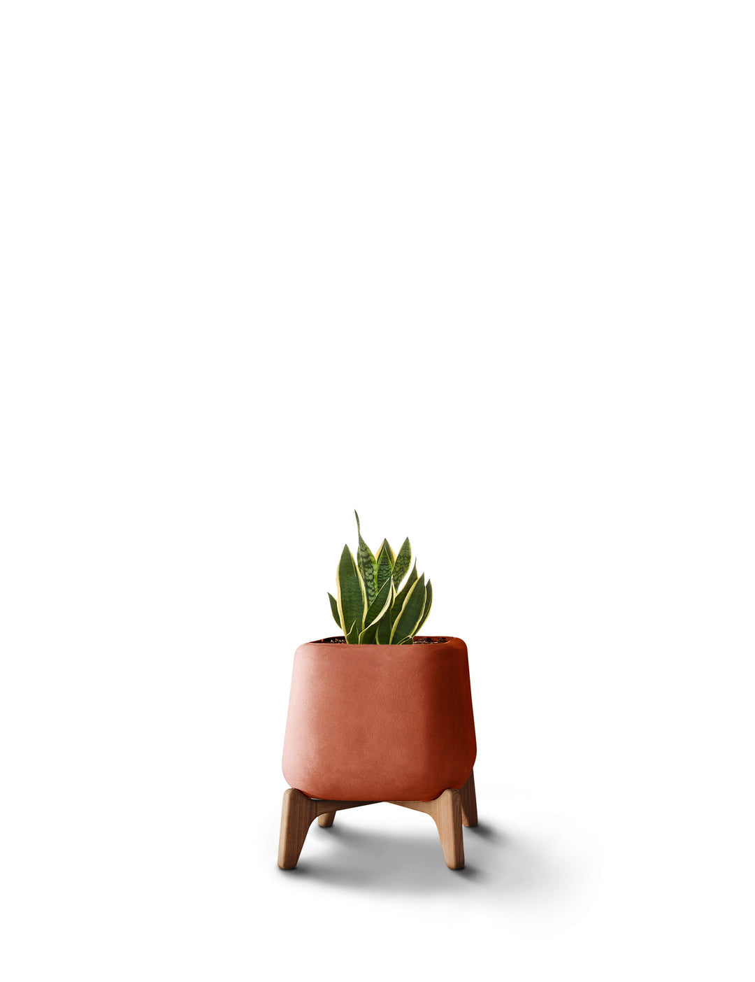 Terra Planter – Square XS Outdoor Planters Indigenus