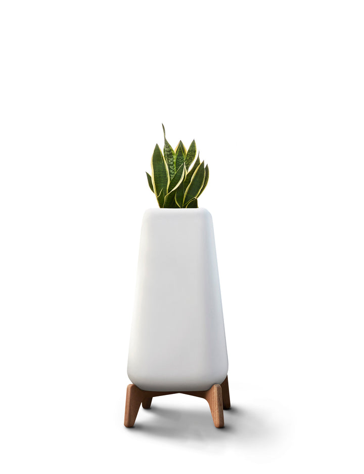 Terra Planter – Tall Outdoor Planters Indigenus