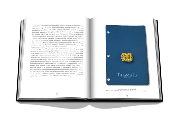 Tiffany & Co. Vision  and Virtuosity  (Ultimate Edition) Book Print Books Assouline   