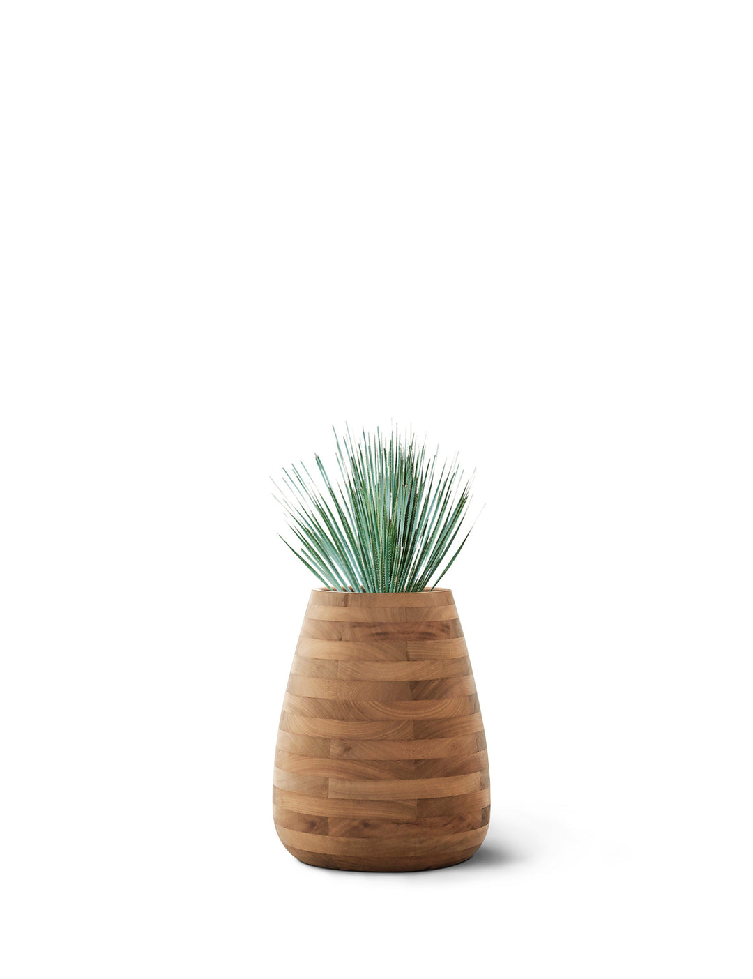 Tuber Wood Planter – Medium Outdoor Planters Indigenus