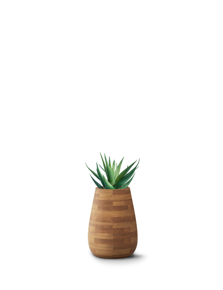Tuber Wood Planter – XS Outdoor Planters Indigenus