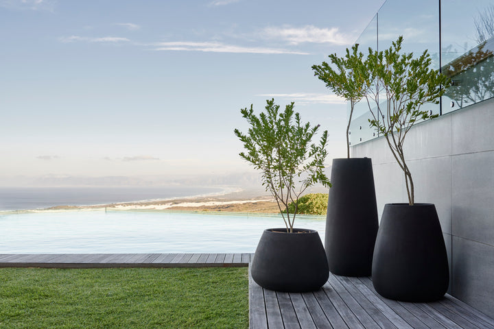 Tuber Planter – Small Outdoor Planters Indigenus