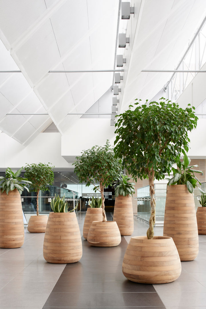 Tuber Wood Planter – Small Outdoor Planters Indigenus