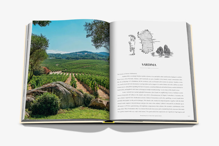 Wine & Travel Mediterranean Islands Book Print Books Assouline