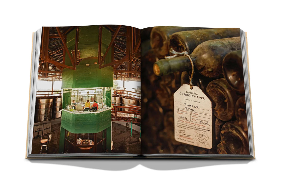 Wine & Travel Latin America Book