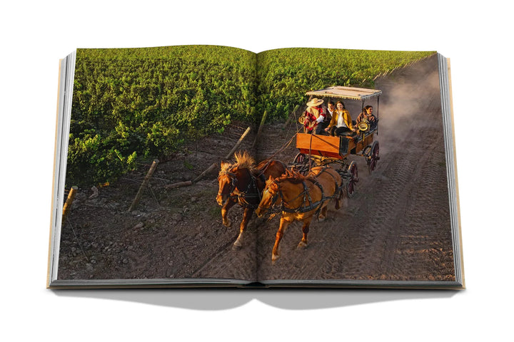 Wine & Travel Latin America Book
