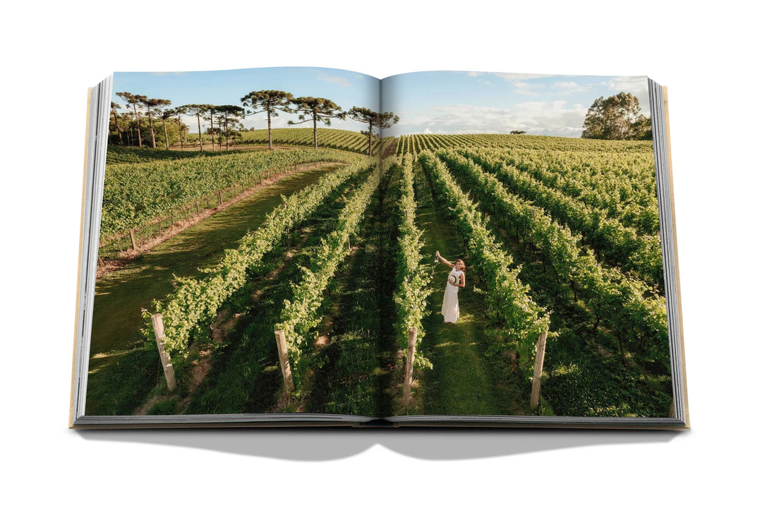 Wine & Travel Latin America Book