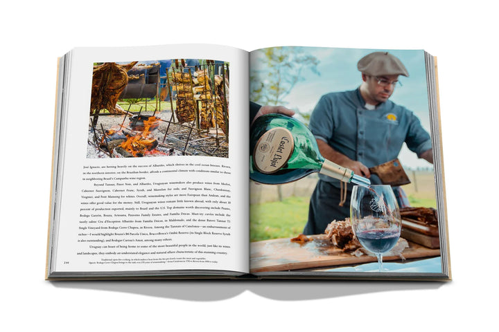 Wine & Travel Latin America Book