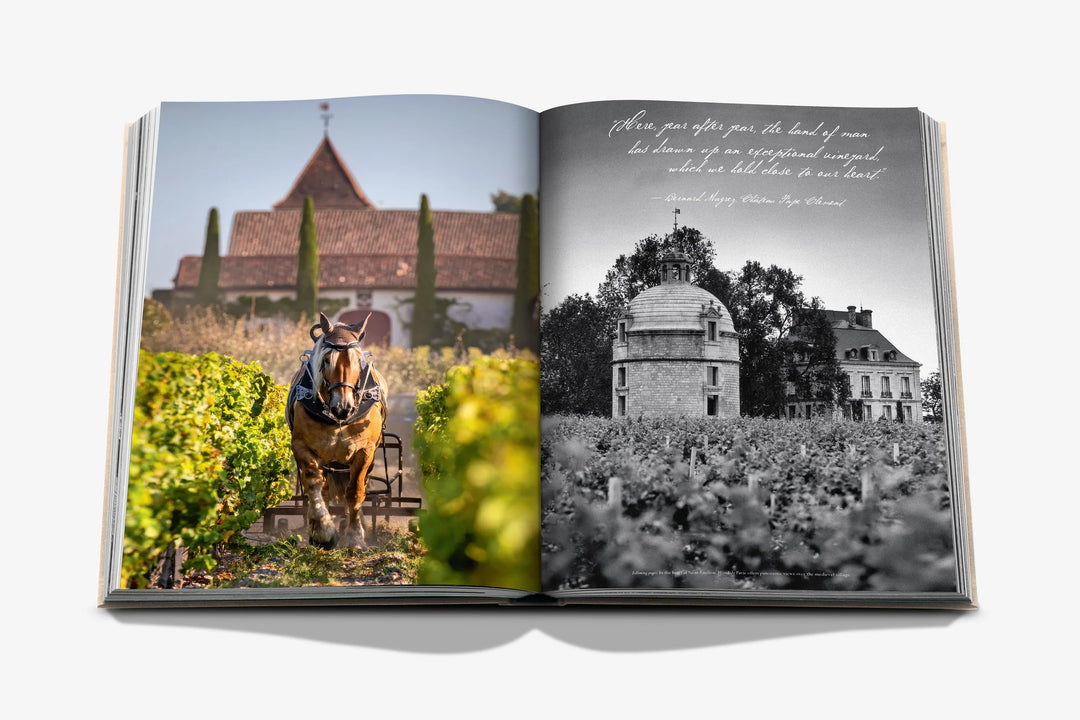 Wine & Travel France Book Print Books Assouline
