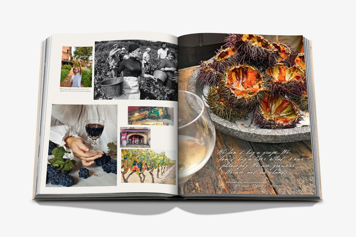 Wine & Travel France Book Print Books Assouline
