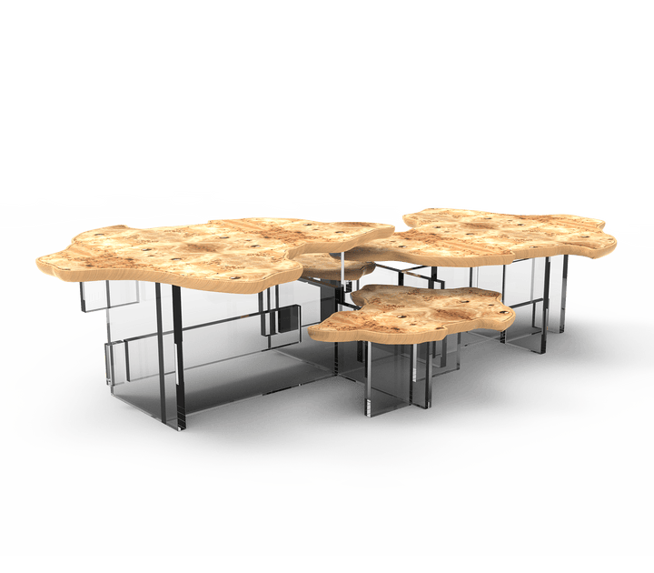 Monet Center Table  Boca Do Lobo Poplar  