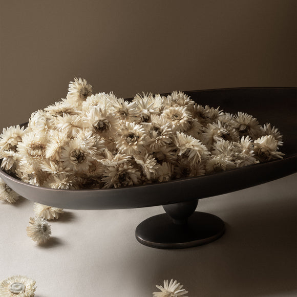 Pavot Center Piece Decor Audo Copenhagen