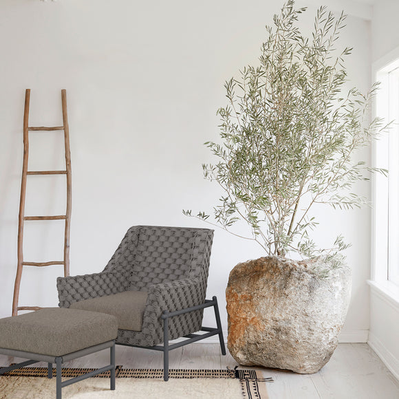 Avalon Club Chair Outdoor Chairs Azzurro Living