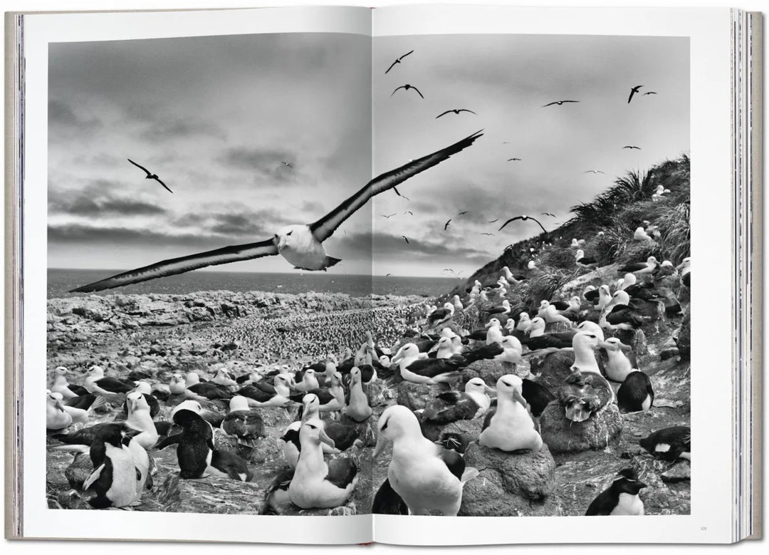Sebastião Salgado. Genesis – Italian Luxury Interiors Sebastião Salgado. Genesis – Italian Luxury Interiors