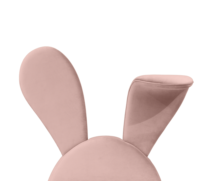 Mr. Bunny Bed  Circu   