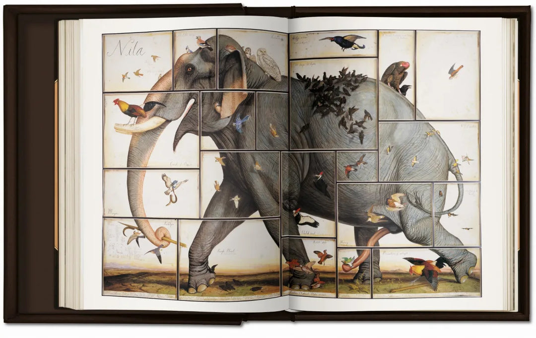 Walton Ford. Pancha Tantra Print Books Taschen   