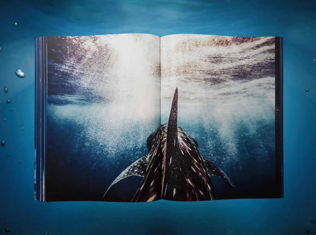 Michael Muller. Sharks Print Books Taschen   