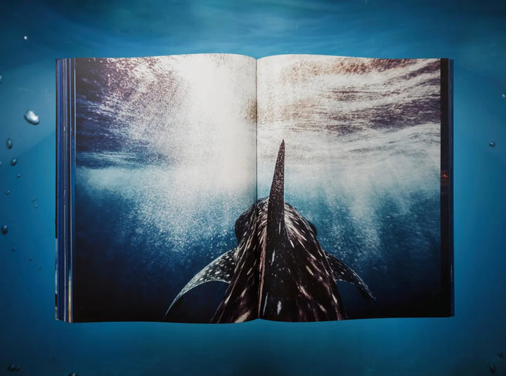 Michael Muller. Sharks Print Books Taschen   