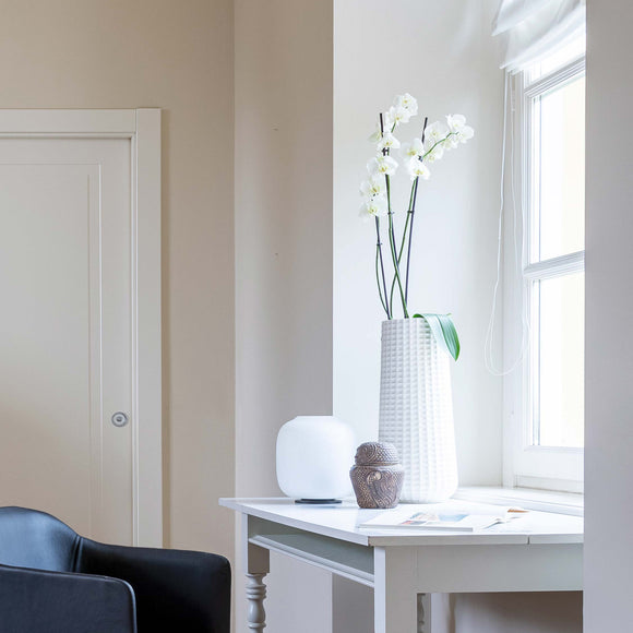 Trace Vase Vases Cappellini