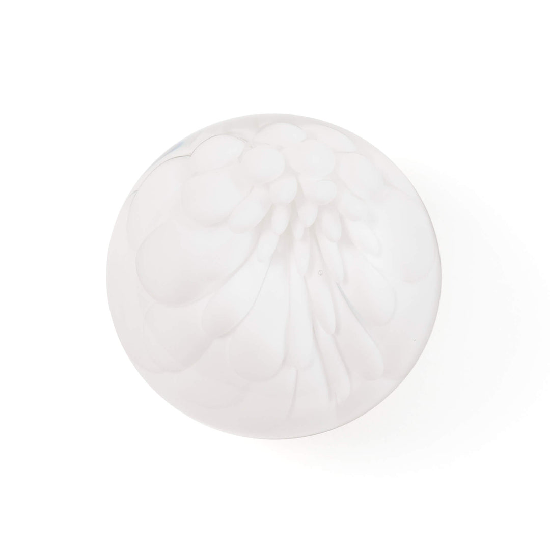 118 Wall/Ceiling Lamp Ceiling Lamps Bocci