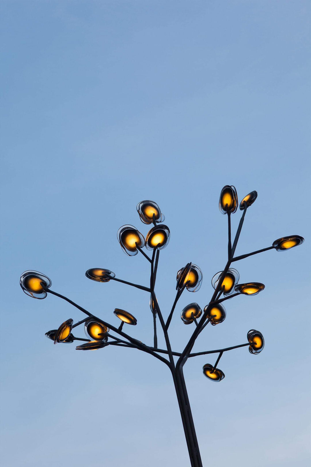 16 Tree Floor Lamp Floor Lamps Bocci