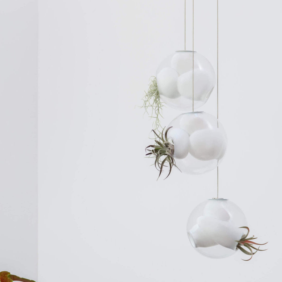 38V Suspension Lamp - Small Chandeliers & Suspension Lamps Bocci