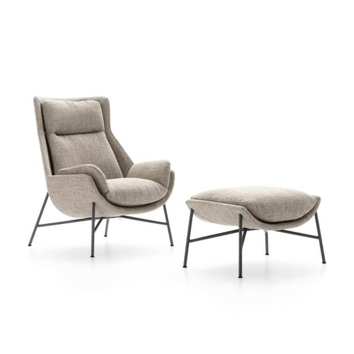 Beetle Lounge Chair Lounge Chairs Ditre Italia