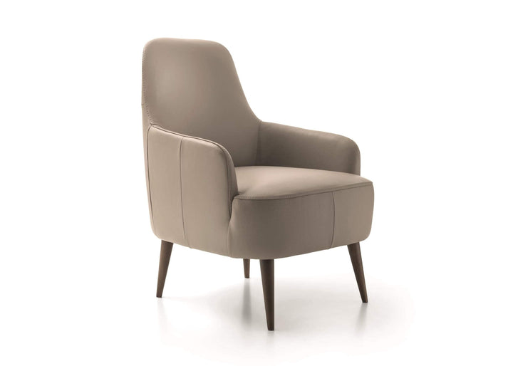 Ray Lounge Chair Lounge Chairs Ditre Italia