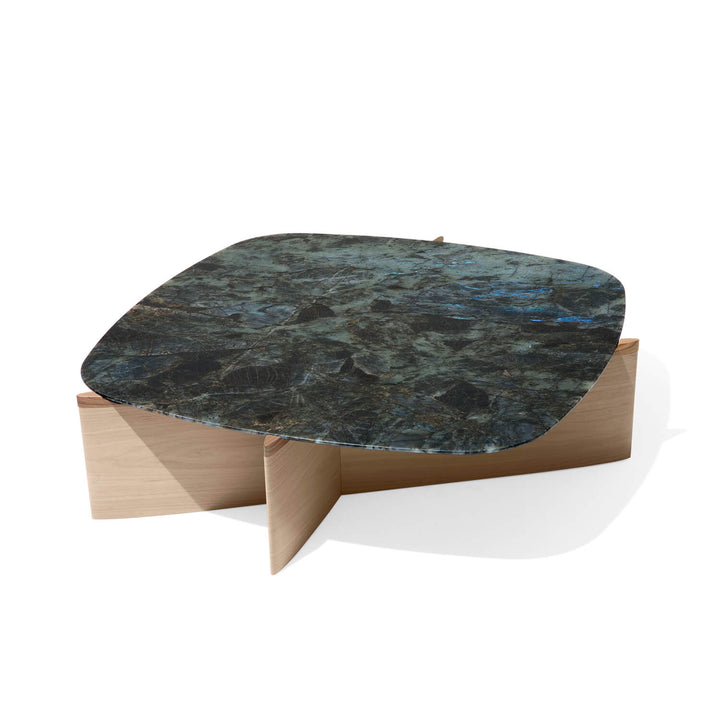 Cas Gio Griffe Coffee Table 01