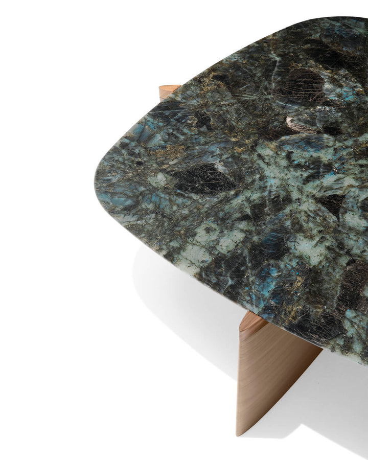 Cas Gio Griffe Coffee Table 01