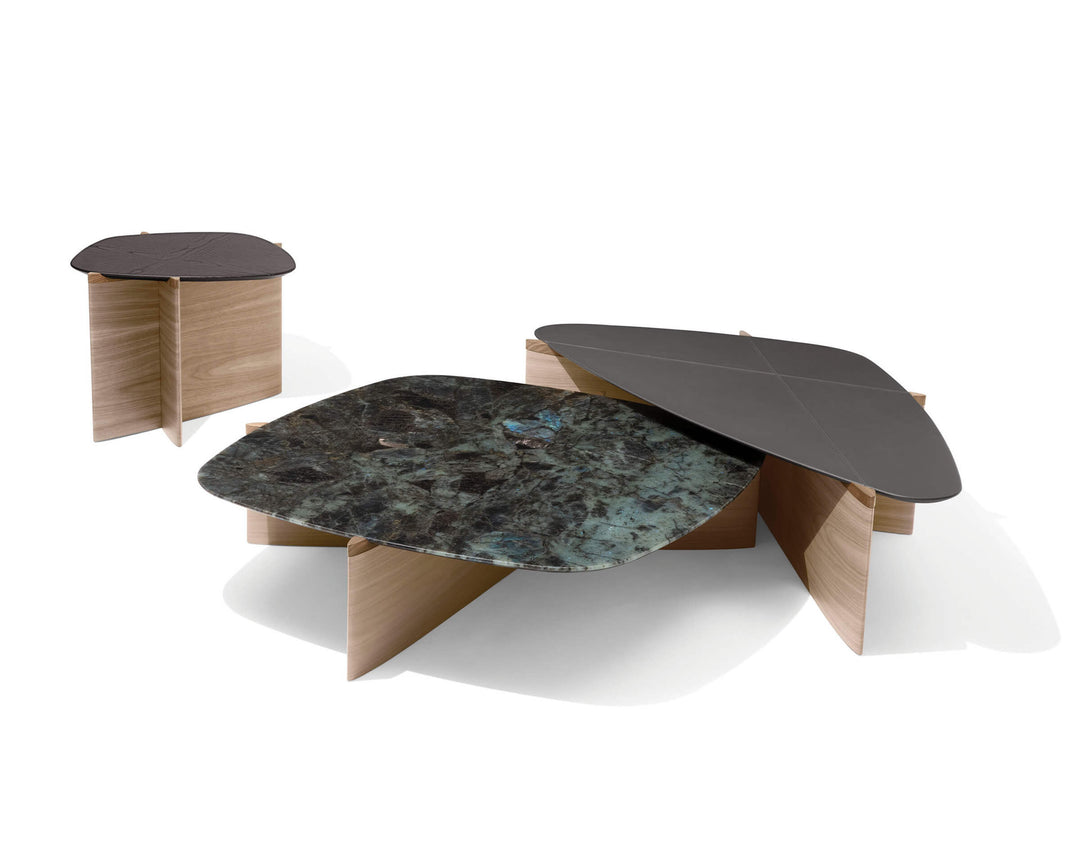 Cas Gio Griffe Coffee Table 01