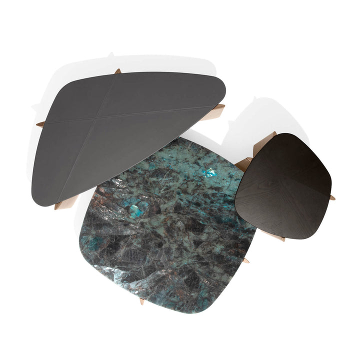 Cas Gio Griffe Coffee Table 01