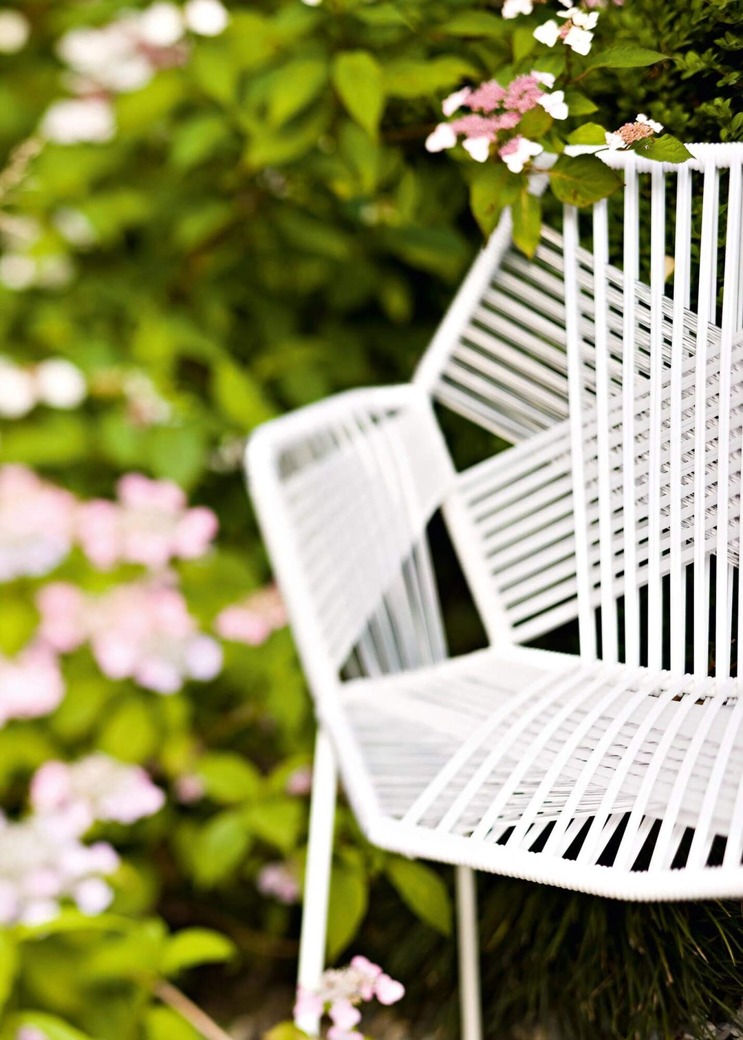 Tropicalia Chair v1 Chairs & Armchairs Moroso