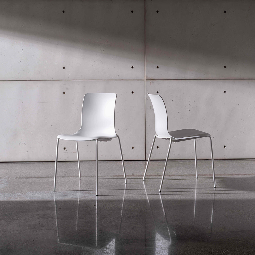 Olly Chair Chairs & Armchairs Sovet Italia
