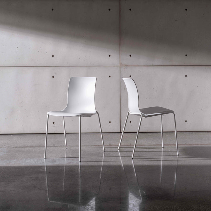 Olly Chair Chairs & Armchairs Sovet Italia