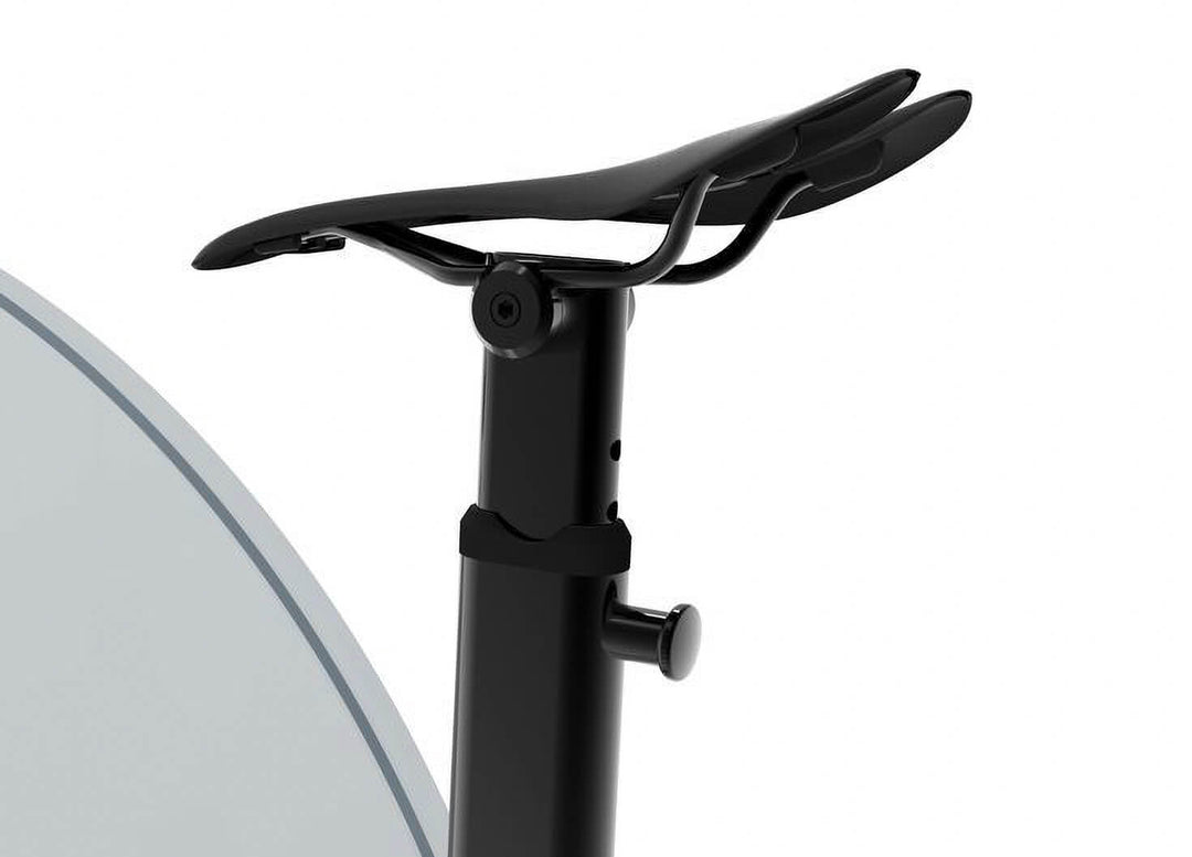 Ciclotte Black Exercise Bike Cardio Equipment Teckell