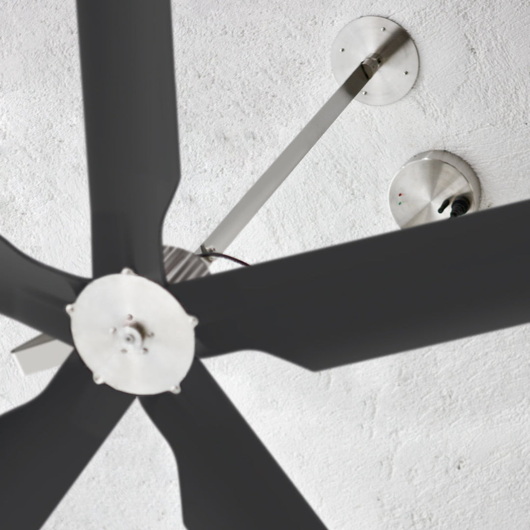 Two Ceiling Fan TWO01 Ceiling Fans CEA Design